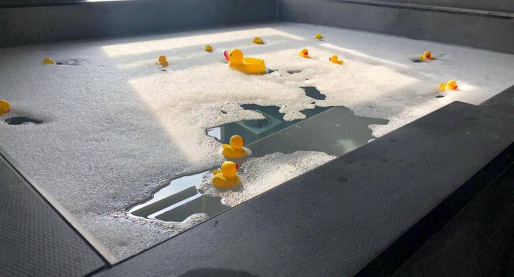  bath floating ducks